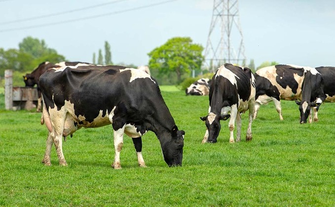 Labour shortages could see a third of dairy farmers quit