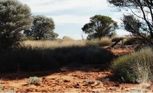  Wiluna operations