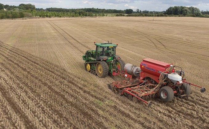 How to get early-sown OSR off to a good start