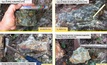 A selection of SolGold’s rock chip samples assayed