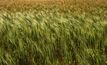 Eastern states oppose wheat bill