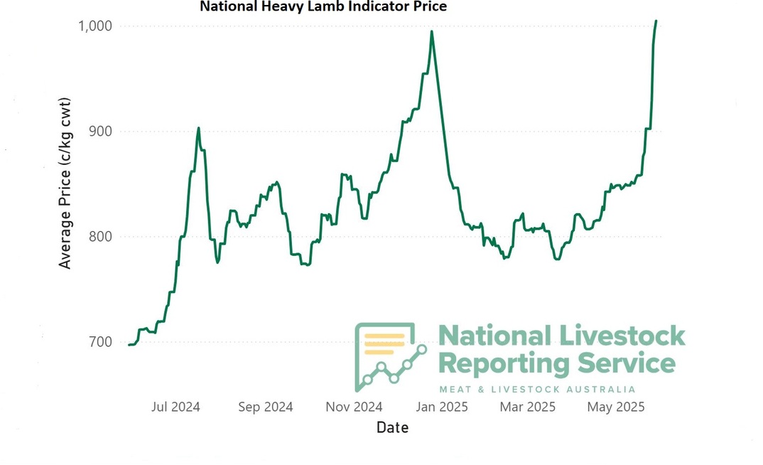 The National Heavy Lamb Indicator price broke new ground this week.