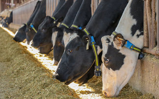 Partner Insight: Preventative health as the foundation of farm resilience