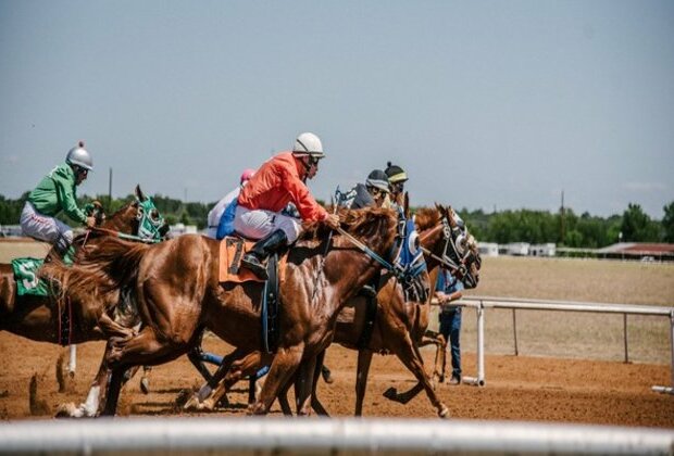 Dubai racing club unveils thrilling new look Dubai Racing Carnival