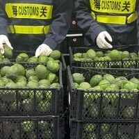 CHINA-SHANGHAI-EXPANDED ZERO-TARIFF-POLICY-BENEFICIARY (CN)