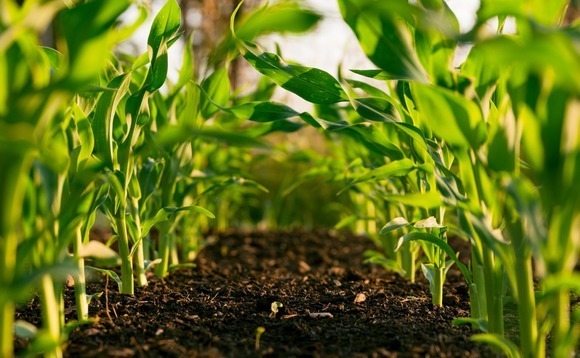 Australian crop monitoring start-up gets $38m Series B