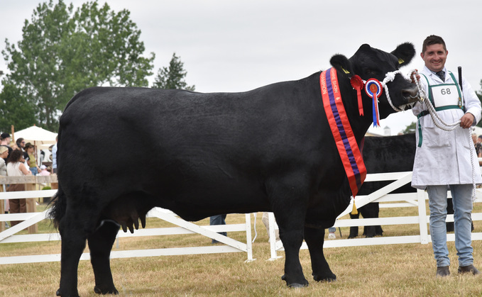 Beef inter-breed and Aberdeen-Angus champion, Blelack Princess Carina X25, from Mike and Melanie Alford, Cullompton.