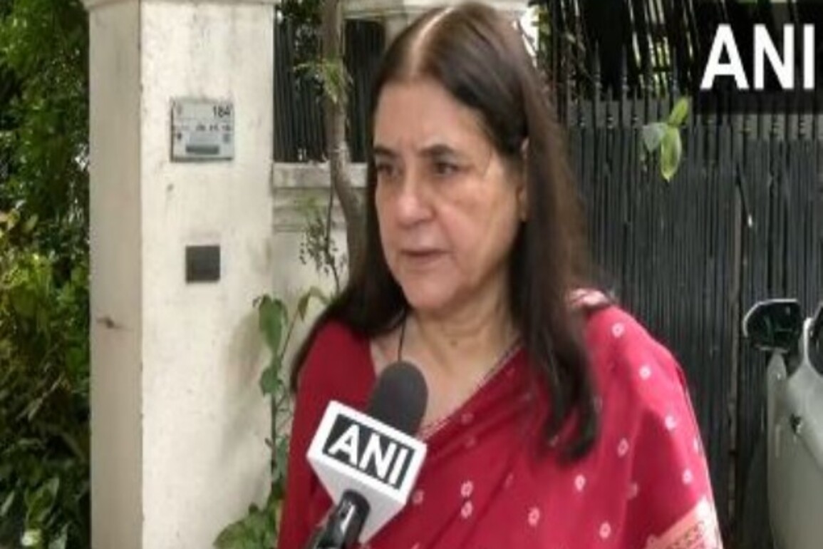 "Would urge CJI to hear all sides and make decision in view of law": BJP's Maneka Gandhi on stray dog order