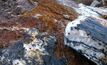 Probe exceeds goal with PEA for Quebec gold project