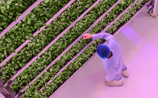 Can vertical farms really deliver promised emissions savings?