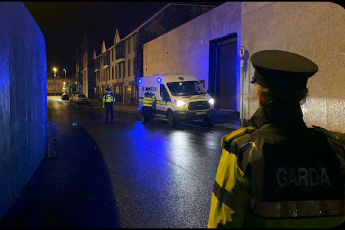 Woman Seriously Injured in Dublin Hit-and-Run 