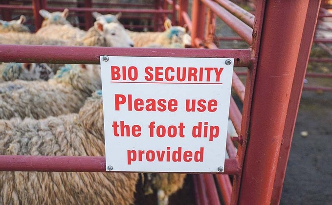 Letters: "Strong biosecurity must be the norm, not just a reaction to crises"