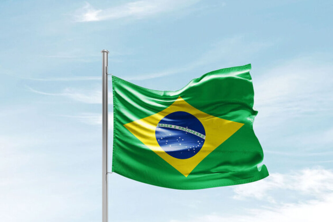 Eleven killed as bus crashes head-on into truck in southern Brazil