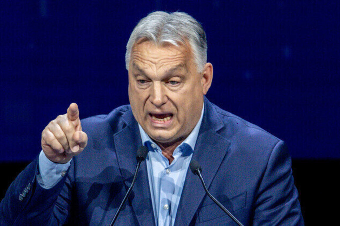 No excuse for Ukraine not to restart Druzhba pipeline supplies  Orban