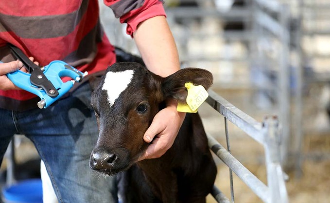 Cost of genomic testing should make it a 'no-brainer' for progressive dairy farmers