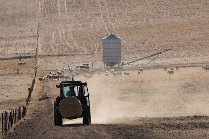 BOM said El Niño often brings drier conditions to central and eastern Australia in winter and spring, but not always. 