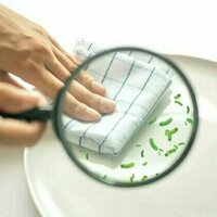 From tea towels to TV remotes: eight everyday bacterial hotspots - and how to clean them