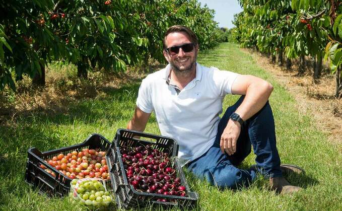 'I'm trying to do less things now, but do them better' - Large scale fruit farming with an eye on the future