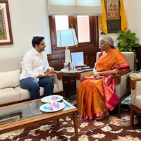 Andhra Minister Nara Lokesh meets FM Sitharaman, seeks support for state projects