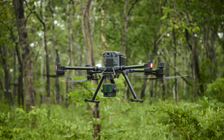 How Revalue is harnessing virtual reality to help carbon credit buyers 'visit' forests