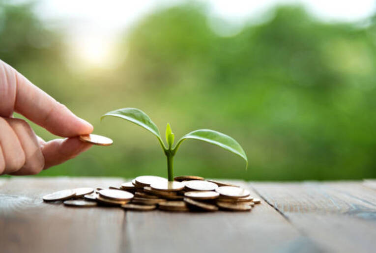 How sustainable investments are shaping the future economy