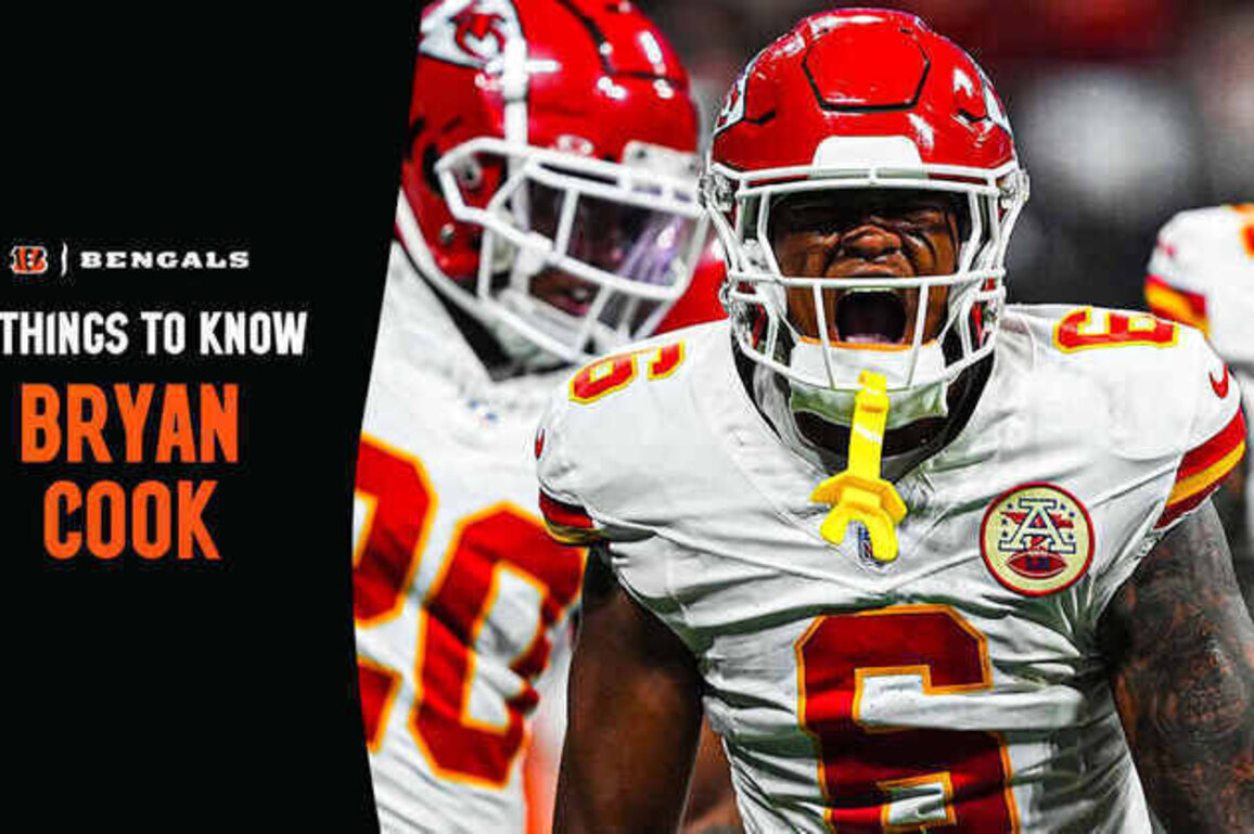 5 Things to Know about New Bengal Bryan Cook
