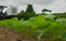 Robot-farmed, low carbon parsnips to go on sale in select M&S stores