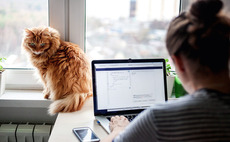 Luminar Ventures leads $1m seed round for Teemyco
