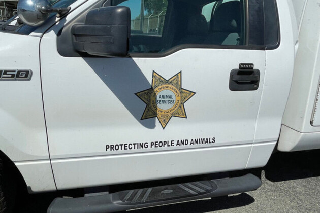County seeks info on puppy brought to Bonita shelter with &#39;severe neck injury&#39;
