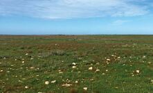  Siviour is a flat-lying graphite deposit in South Australia.between Whyalla and Port Lincoln.