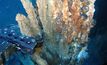 Portugal quer projeto de mineração no fundo do mar em Açores