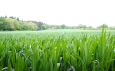 Oxbury Bank offers free soil carbon report for every loan customer