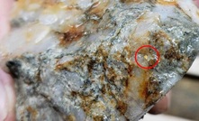  Visible gold from drilling at Aamurusko