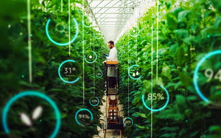 Nature-focused AI projects report 'positive impact' following £2m pilots