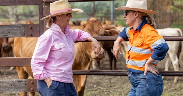 Harmony approves $2.6B Queensland copper mine