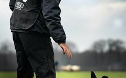 Young Dog Handler Focus - Tim Thewissen: "There is a special bond with dogs"