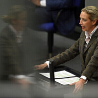 AfD co-chair calls for end to funding corrupt Ukraine