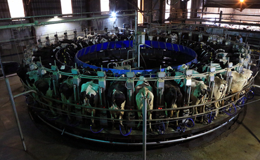 farmersguardian.com - Katie Fallon - Partner Insight: Agritech - Powering a lifetime of insights