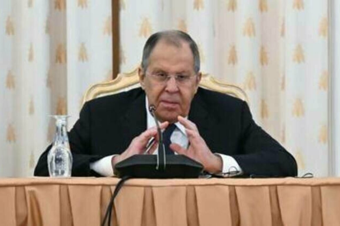 Former colonizers fueling African tensions - Lavrov