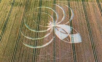 Farmer distressed after criminals create giant spider-like figure in crops