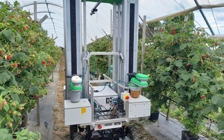 Fieldwork Robotics secures £3m backing to trial berry-picking robots on UK farms