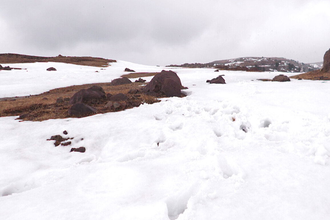 J&K: Tourists flocking to unexplored snowy landscapes of Ladha Dhar in Udhampur
