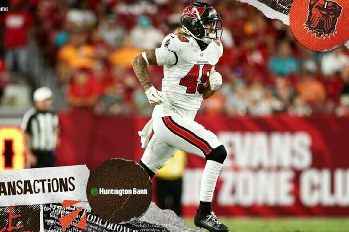 Browns sign TE Sal Cannella