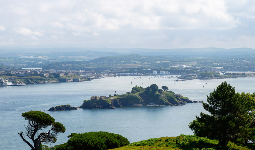 © Penny Hicks / Shutterstock   