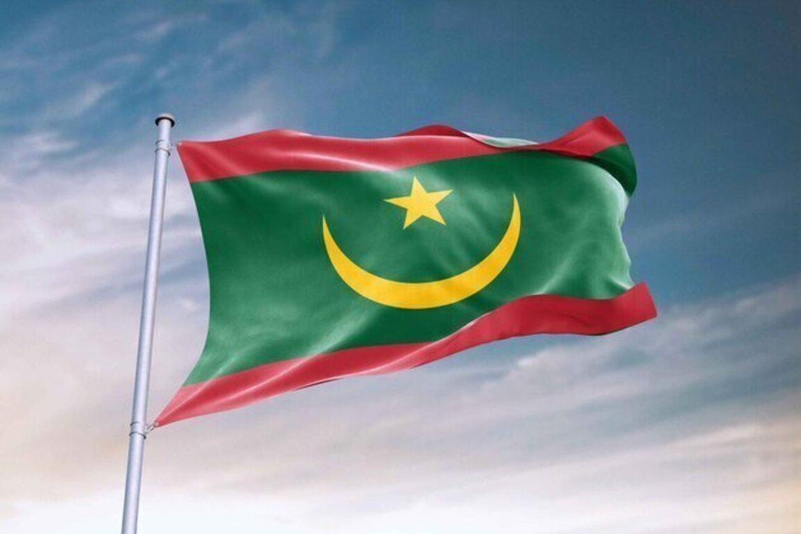 Mauritania strongly condemns heinous attack on Barakah Nuclear Energy Plant perimeter