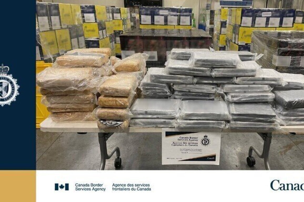 CBSA officers seize 80 kg of cocaine at Kingsgate port of entry in B.C.