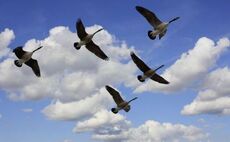 Private equity LPs flock to the Nordic region