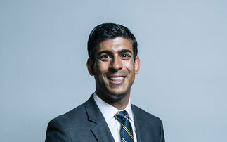 Rishi Sunak returns to Goldman Sachs as a senior adviser 