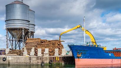 Timber imports nudge upwards during Q3 of overall week year