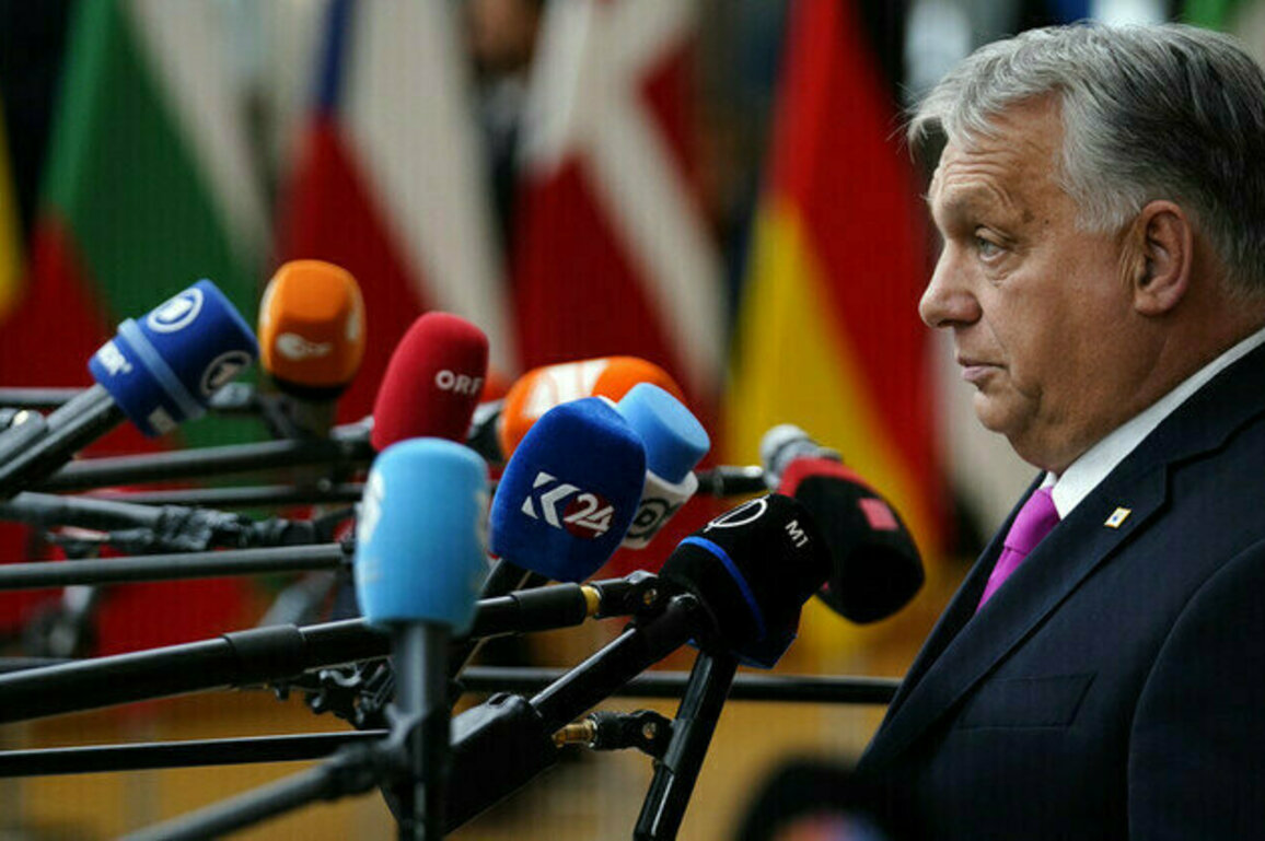 EU membership for Ukraine unthinkable  Orban